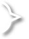 next slide button